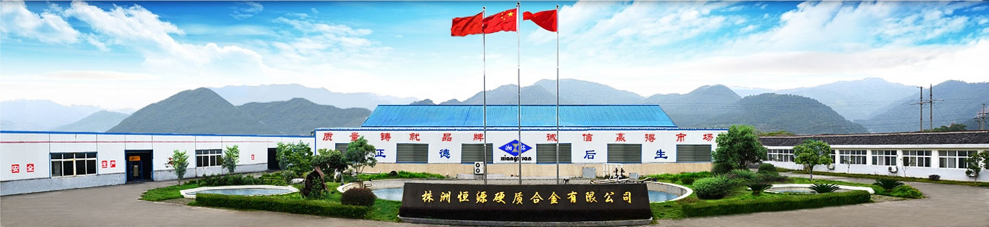 Fabrik für Hartmetallstangen, Hartmetallebenen, Hartmetalleinsätze, Hersteller kundenspezifischer TC-Produkte - Hengyuan-Karbid